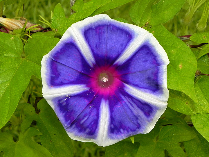 DSCN5582_01