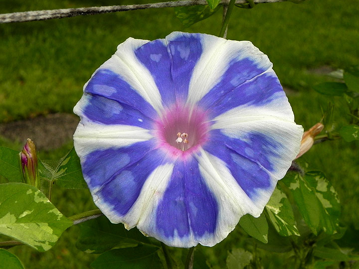 DSCN5586