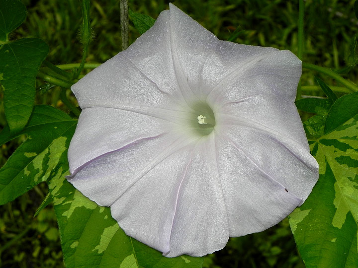 DSCN5606_01