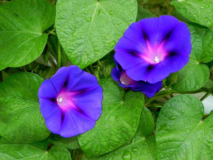 DSCN5610