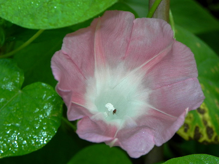 DSCN5627