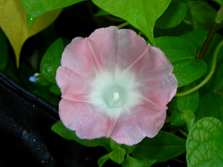DSCN5628_01
