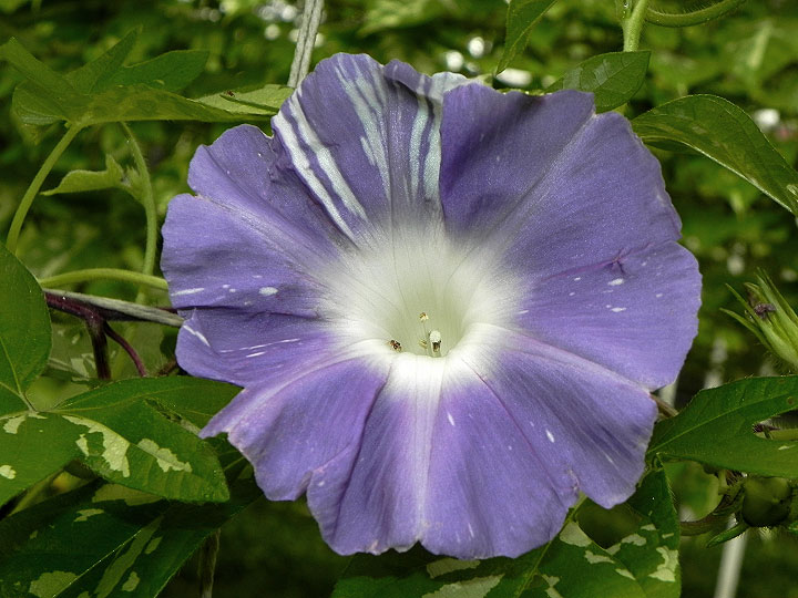 DSCN5628_01