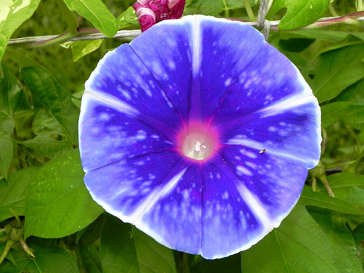 DSCN5644