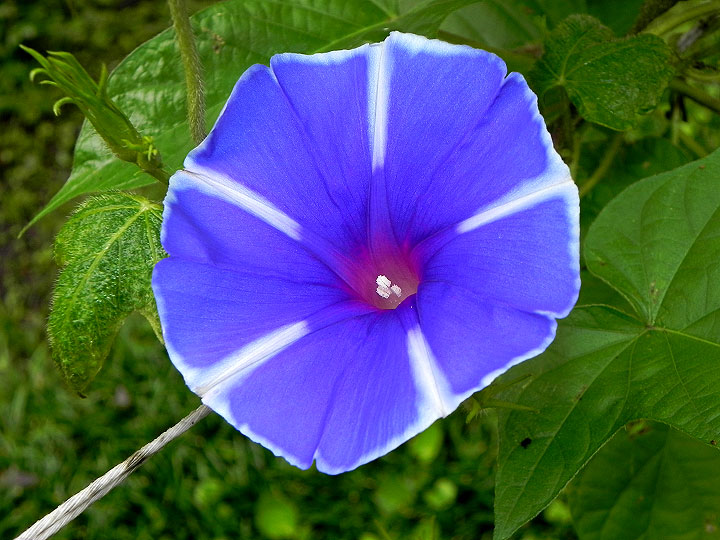 DSCN5656_01