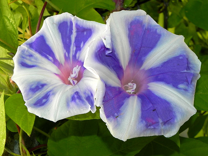 DSCN5678_01