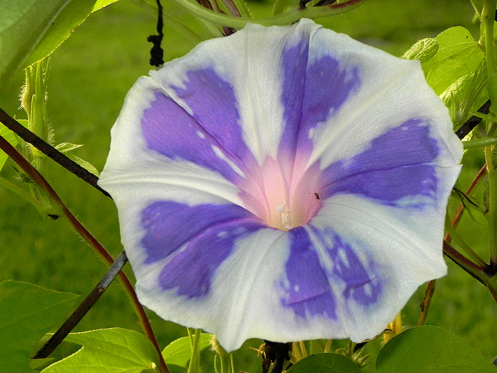 DSCN5679_01