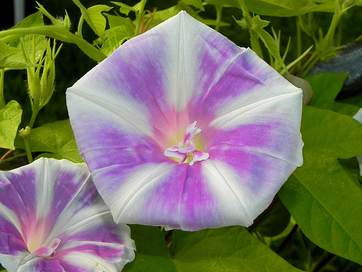 DSCN5680_01