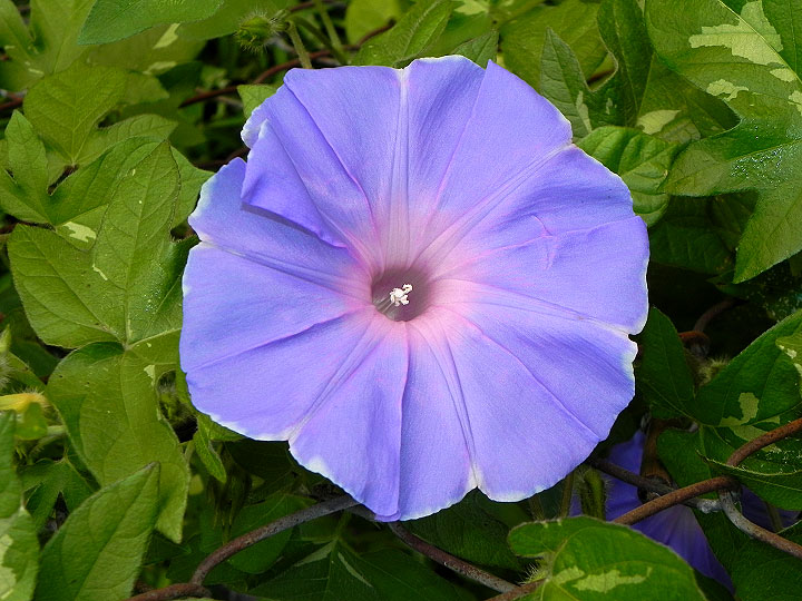 DSCN5698_01