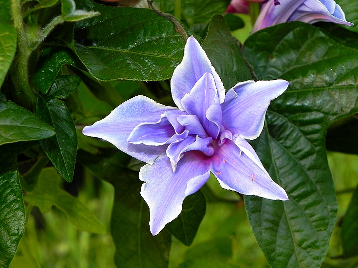 DSCN5708_01
