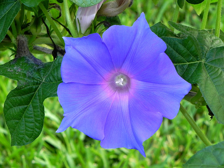 DSCN5730