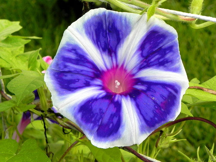 DSCN5752_01