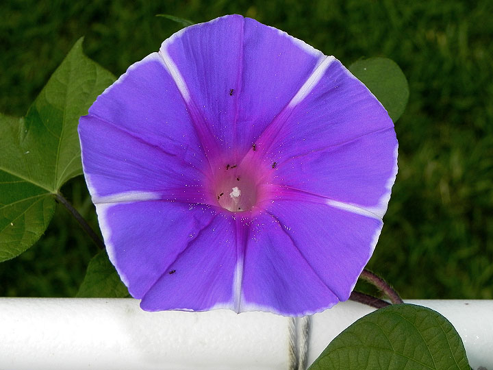 DSCN5760