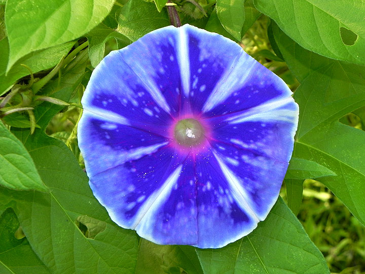 DSCN5818