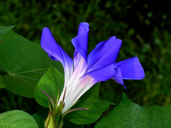 DSCN5820
