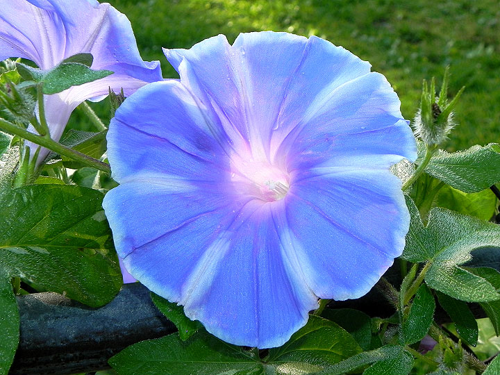 DSCN5860