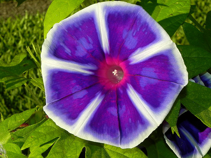 DSCN5906