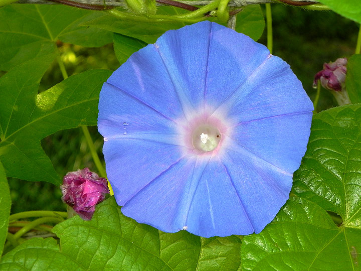 DSCN5957