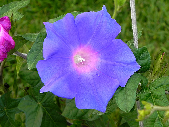DSCN6042