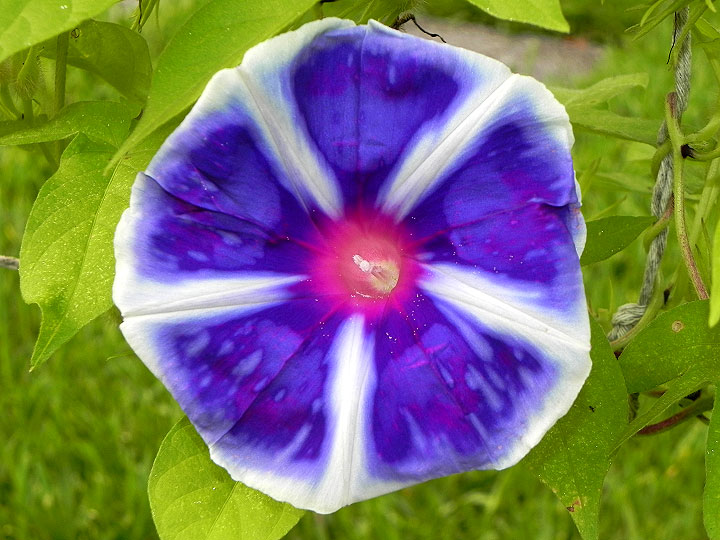 DSCN6064_01