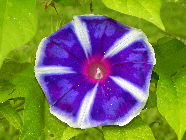 DSCN6066