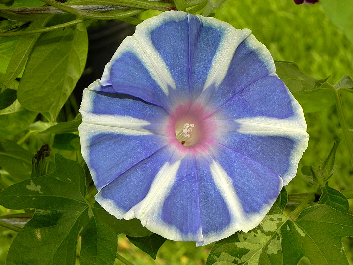 DSCN6074_01