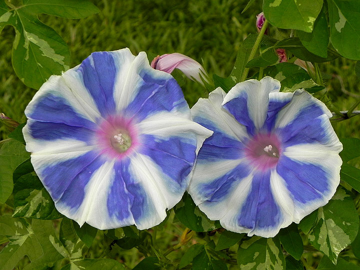 DSCN6075_01