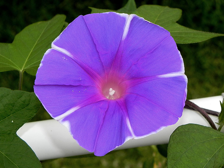 DSCN6076_01