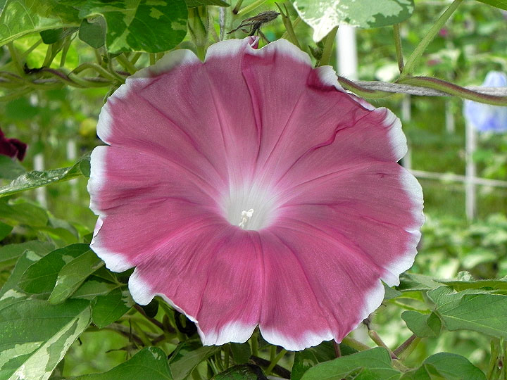DSCN6087_01