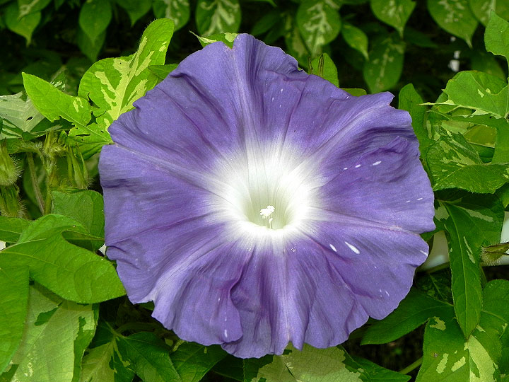 DSCN6142_01