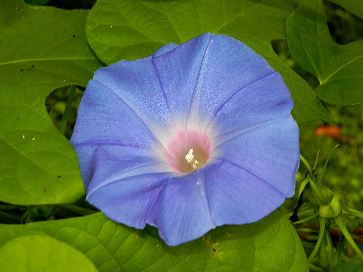 DSCN6148