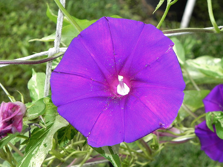 DSCN6171