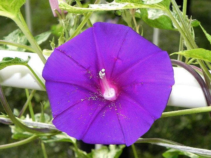 DSCN6172
