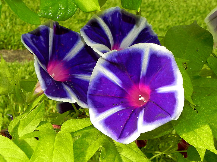DSCN6301
