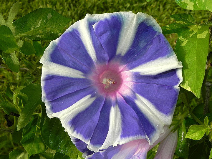 DSCN6309