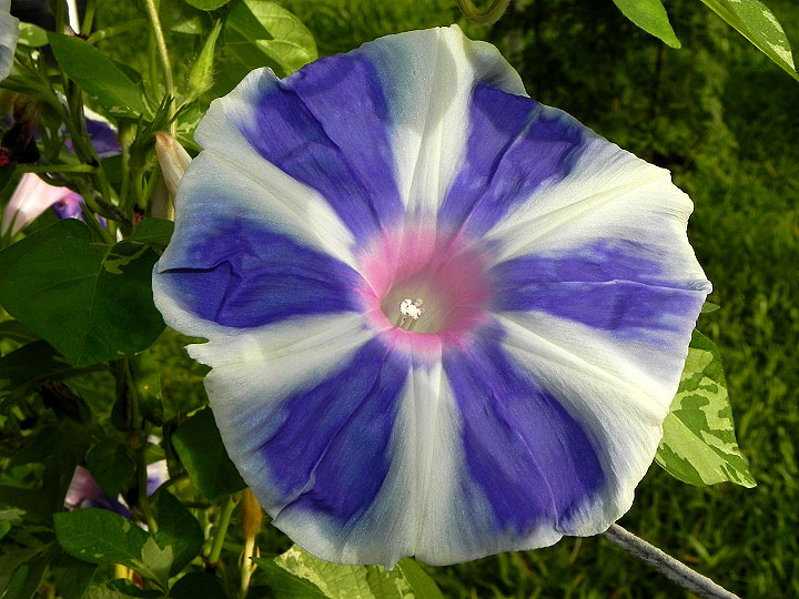 DSCN6311