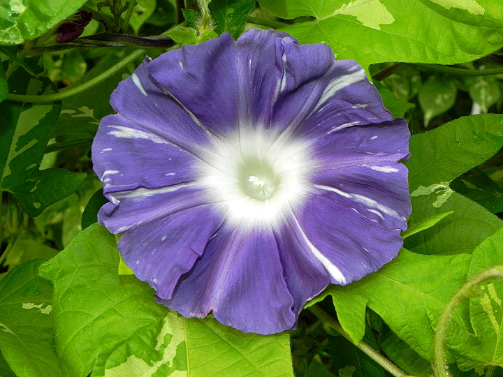 DSCN6384