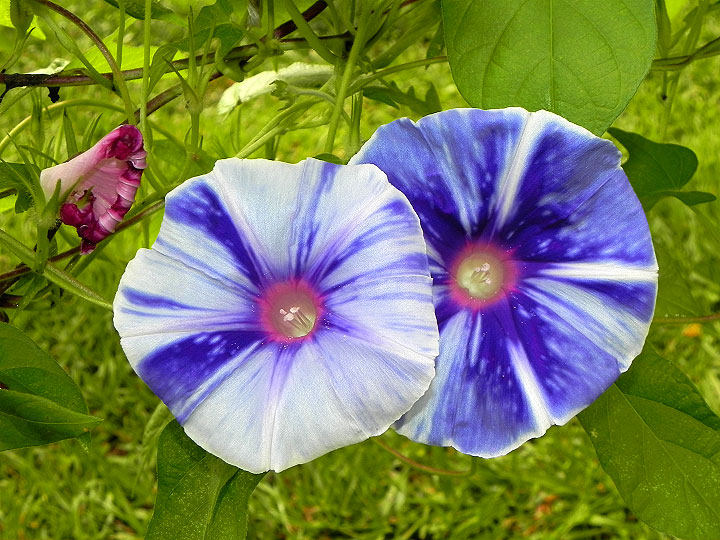 DSCN6403_01