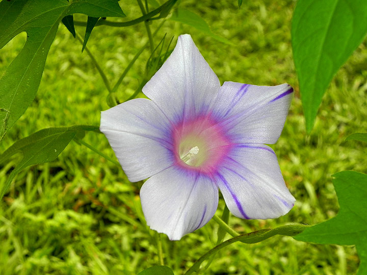 DSCN6411_01