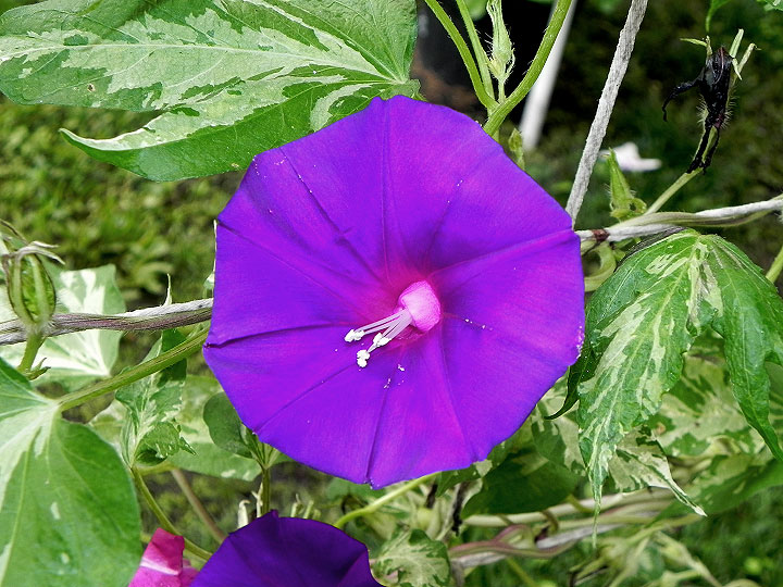 DSCN6422_02