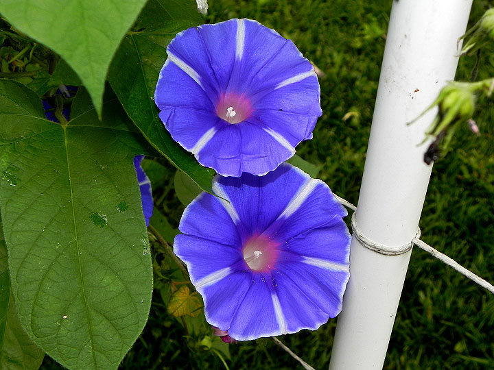 DSCN6427_01