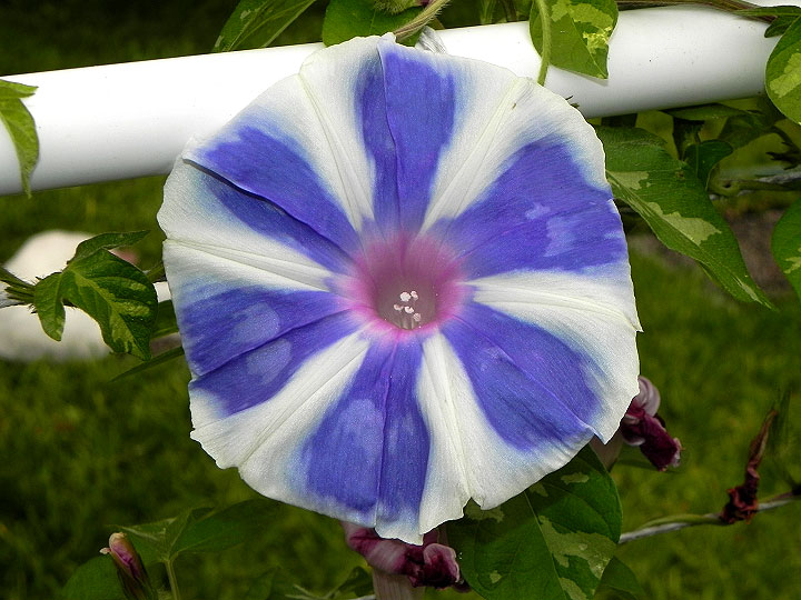 DSCN6552_01