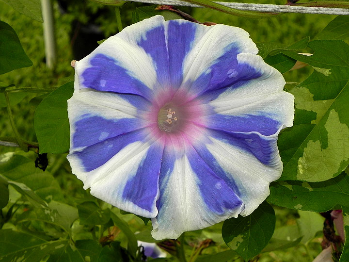 DSCN6554_01