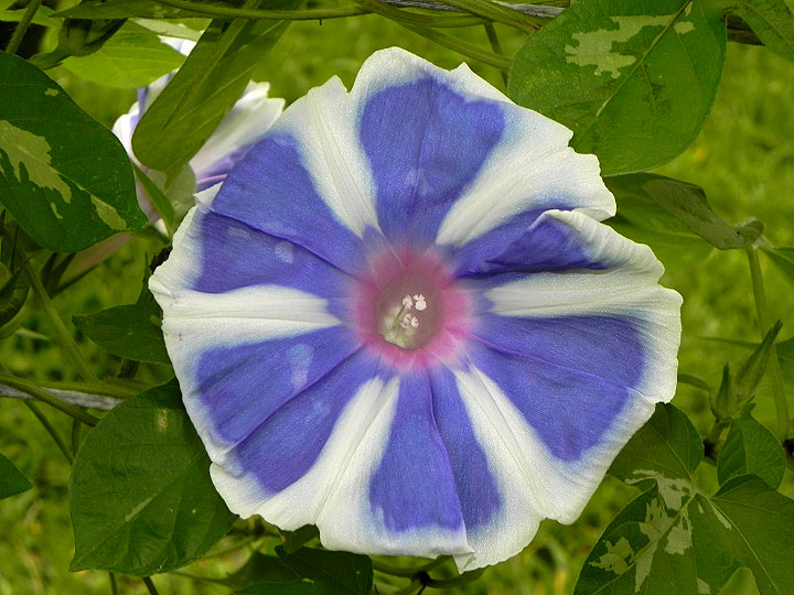 DSCN6555_01