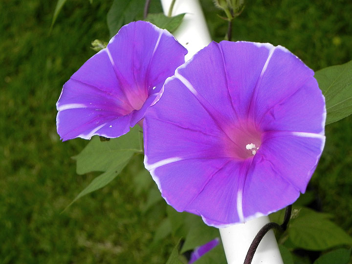 DSCN6556_01