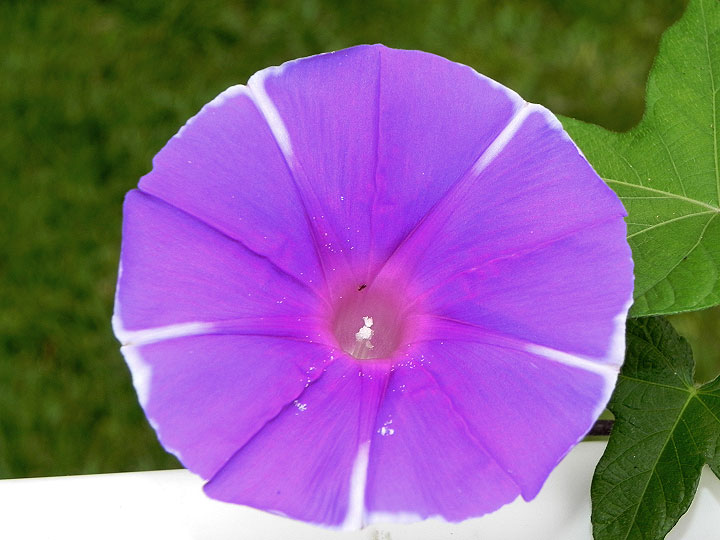 DSCN6557_01