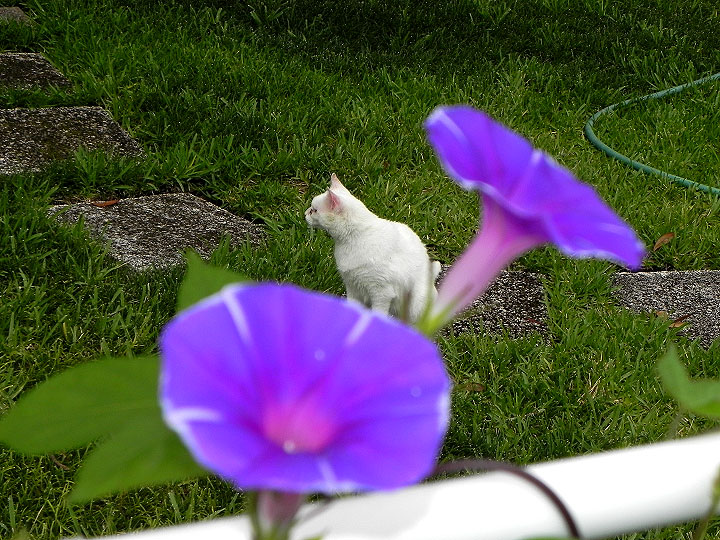 DSCN6558_01