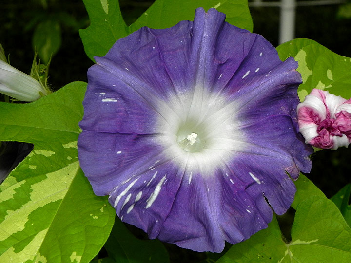 DSCN6623_01