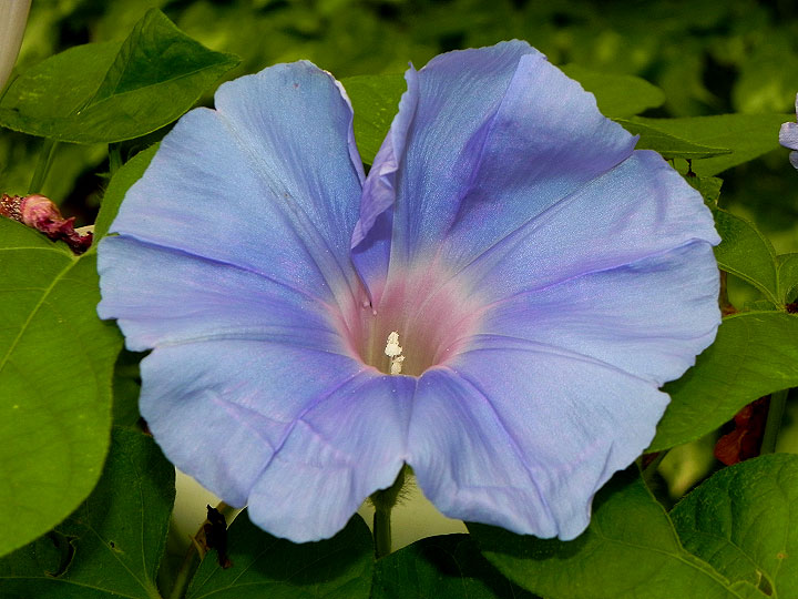 DSCN6630_01