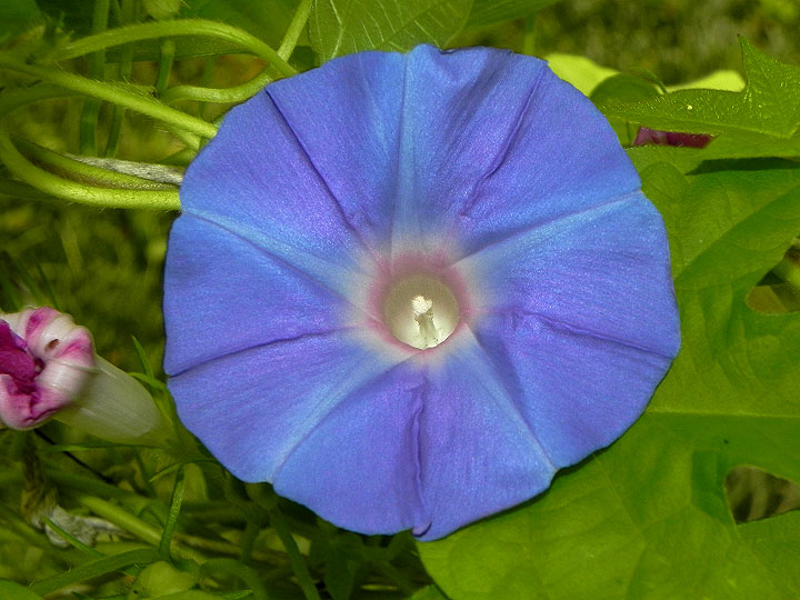 DSCN6632